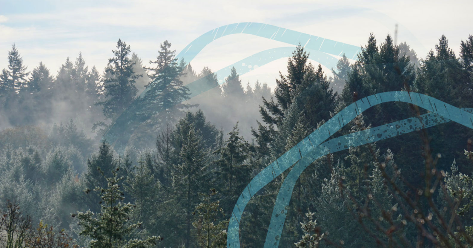 Sustainability Image